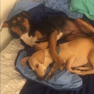 Meet your Posher, James